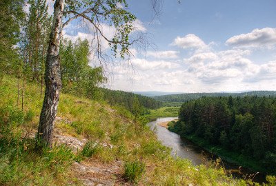 Зимостійкий і високоврожайний сорт яблуні Исетское пізніше