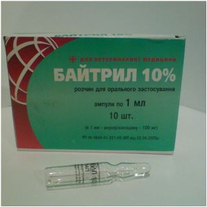 Запалення зоба у птаха. Що робити?