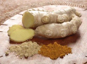 Імбир – вирощування у відкритому грунті для всієї родини + відео Імбир – вирощування у відкритому грунті для всієї родини + відео