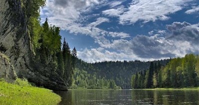 Килимове   сорт карликової яблуні з масою переваг