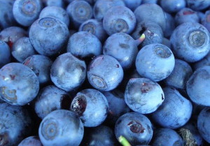 Компот з чорниць на зиму – смачні заготовки, прості рецепти + Відео