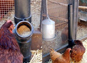 Як зробити саморобну годівницю для курей своїми руками?
