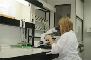 Маллофагоз птахів: стрімке розмноження паразитів губить весь пташник
