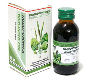 Лікувальні властивості подорожника – як і де його застосовують? + відео
