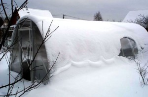 Парники взимку: як підготувати грунт і дезінфікувати грунт від хвороб + відео