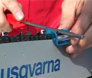 Як правильно спиляти дерево бензопилою – все по кроках + відео