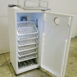 Інкубатор для домашньої птиці своїми руками, від корпусу до системи підігріву