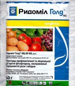 Мільдью на винограді – як проводити обробку кущів? + Відео