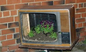 Оформлення клумби своїми руками в оригінальному стилі + Відео Оформлення клумби своїми руками в оригінальному стилі + Відео