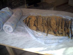 Зберігання живців винограду взимку – розмножуємо вдалий сорт + Відео