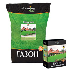 Партерний газон – як вибрати насіння для газону вищого класу? + відео