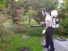 Схема обробки винограду – використовуємо мідний і залізний купоросы + Відео