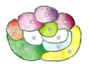 Як спланувати клумбу – це не так складно, як здається! + Відео