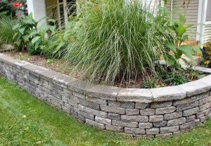 Гарні клумби на вашій ділянці – від задуму до втілення + Відео