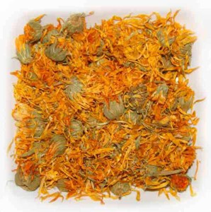 Календула – лікувальні властивості і протипоказання рослини + відео