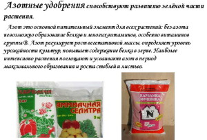 Азотні добрива – види та їх застосування + Відео
