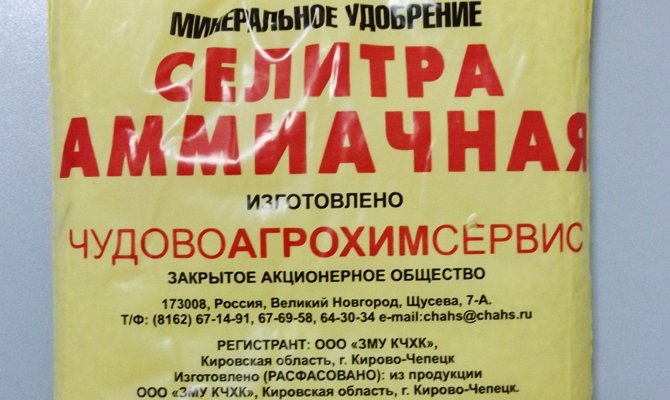 Добриво селітра – застосування аміачної і калійної підживлення + Відео
