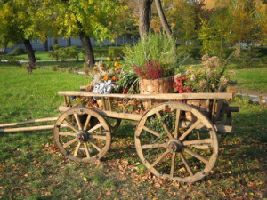 Ландшафтний дизайн сільського будинку – простота, природність + Відео