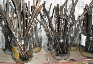 Розмноження винограду живцями – як отримати результат незалежно від сезону + Відео