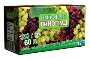 Полив винограду влітку – особливості процесу + Відео