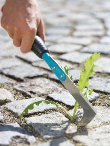 Прополка бурянів на городі – який інструмент вибрати? + відео