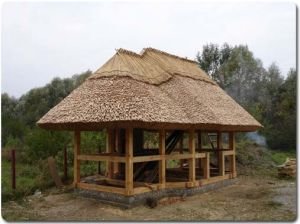 Дах з очерету своїми руками: фото, технологія