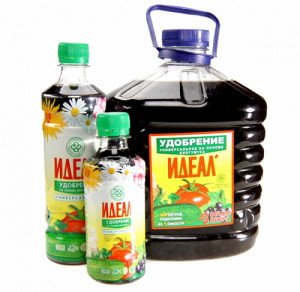 Кореневе підживлення рослин – у чому її переваги? + відео