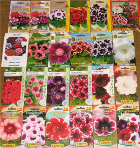 Посадка квітів навесні на дачі: всі нюанси для цього часу року + відео