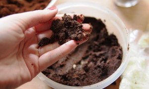 Кавова гуща як добриво – підживлення культур з допомогою гущі + відео