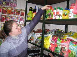 Підгодівля полуниці навесні – які добрива використовувати? + відео Підгодівля полуниці навесні – які добрива використовувати? + відео