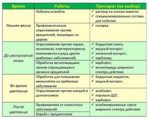 Препарати для обробки саду, або як не зашкодити дереву + Відео
