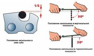 Як правильно точити ланцюг бензопили – поради та практика + відео