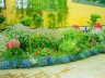 Як створити квітник, використовуючи квіти для клумби однорічні? + відео
