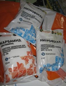 Весняна підгодівля саду – як змусити сад плодоносити + Відео