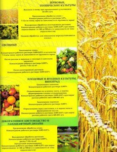 Добриво гумат калію і натрію, підживлення і захист + Відео Добриво гумат калію і натрію, підживлення і захист + Відео