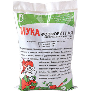 Сірі лісові ґрунти – годяться її характеристики для землеробства? + Відео