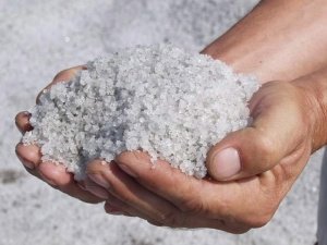 Корми для курей: все про те, чим ви збираєтеся годувати птахів