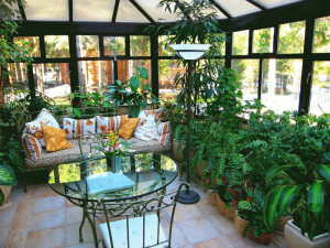 Зимовий сад у будинку – що враховувати при зведенні будівлі? + відео