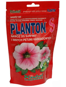 Квіти петунії – посів та догляд для нормального росту рослин + відео