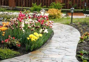 Камінь для доріжок на дачі – розберемо основні переваги + відео