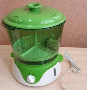 Пророщування насіння – які умови потрібно дотримуватися? + відео