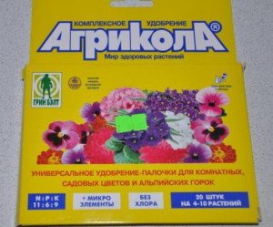 Пишна гвоздика – правильне вирощування квітки в саду + відео