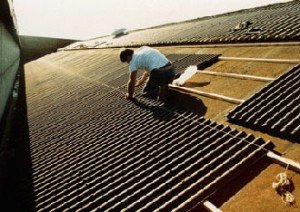 Покрівля з ондуліна: покрокова інструкція по монтажу Покрівля з ондуліна: покрокова інструкція по монтажу