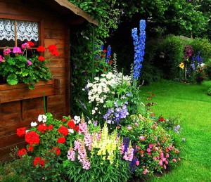 Палісадник – ми навчимо, як зробити найкращий! + Відео