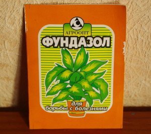 Як укрити на зиму клематис – особливості вирощування та укриття клематиса + Відео