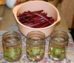 Бурякова гичка – корисна заготівля на зиму + Відео