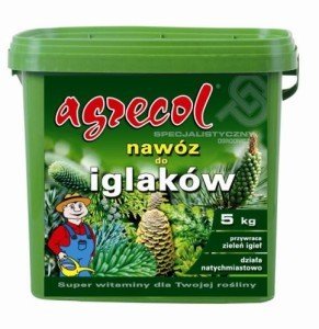 Добрива для хвойних дерев: що вибрати і як вносити? + відео