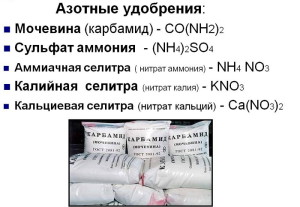 Азотні добрива – види та їх застосування + Відео
