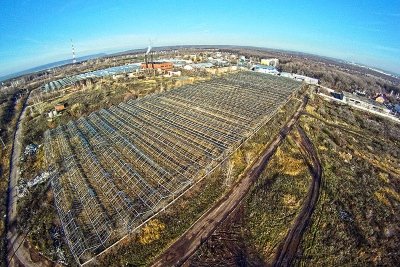 Історія, способи догляду і докладний опис яблунь сорту Скеля
