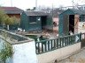 Сарай для гусей своїми руками – будуємо приміщення для птиці + Відео